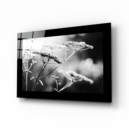 Bloom wildflower macro glass wall art