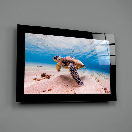 Cobalt Water Turtle Glass Wall Art