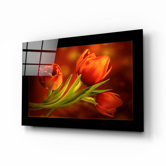 Tulip macro glass wall art