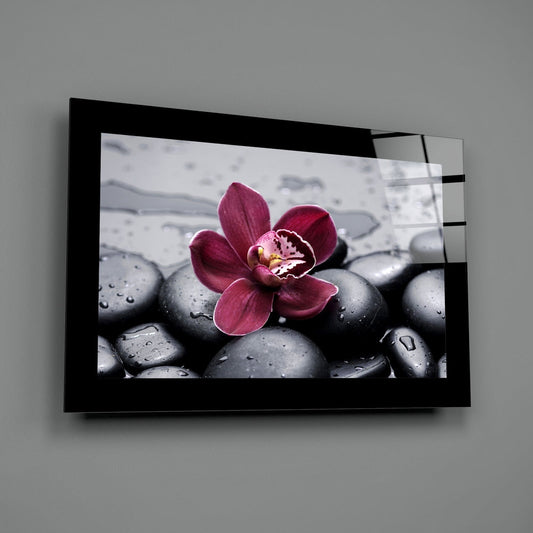 Magenta orchid on black spa stones glass wall art with a wide black border on a gray wall