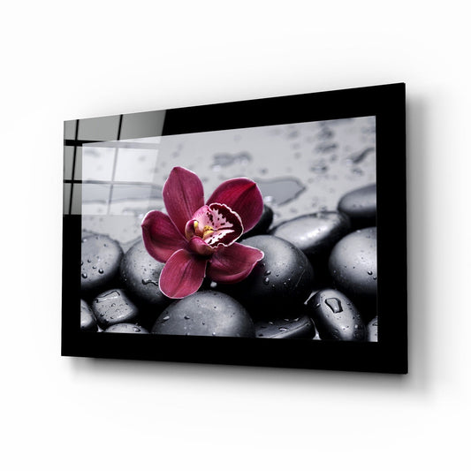 Magenta orchid on black spa stones glass wall art with a wide black border, angled on a white background