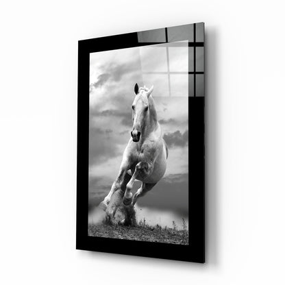 Charging white horse photo glass wall art