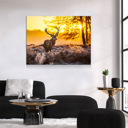 Big Buck Sunset Deer Canvas Wall Art