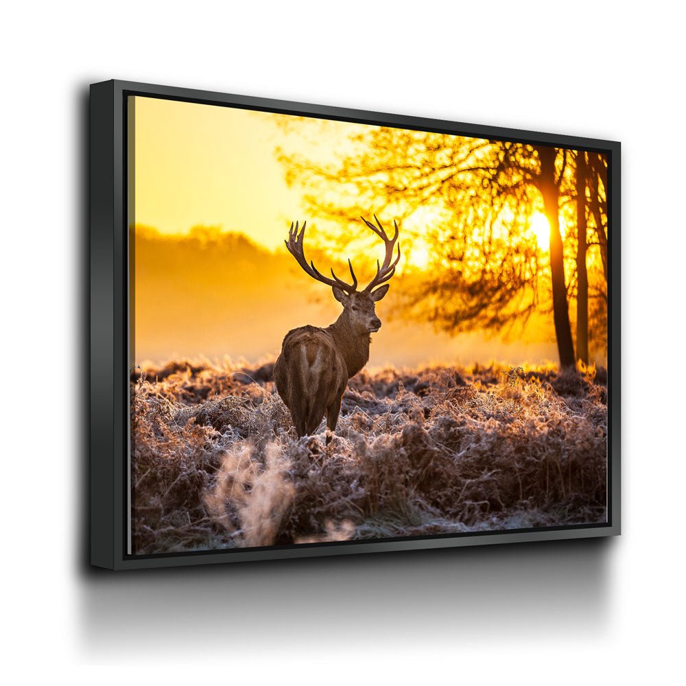 Big Buck Sunset Deer Canvas Wall Art