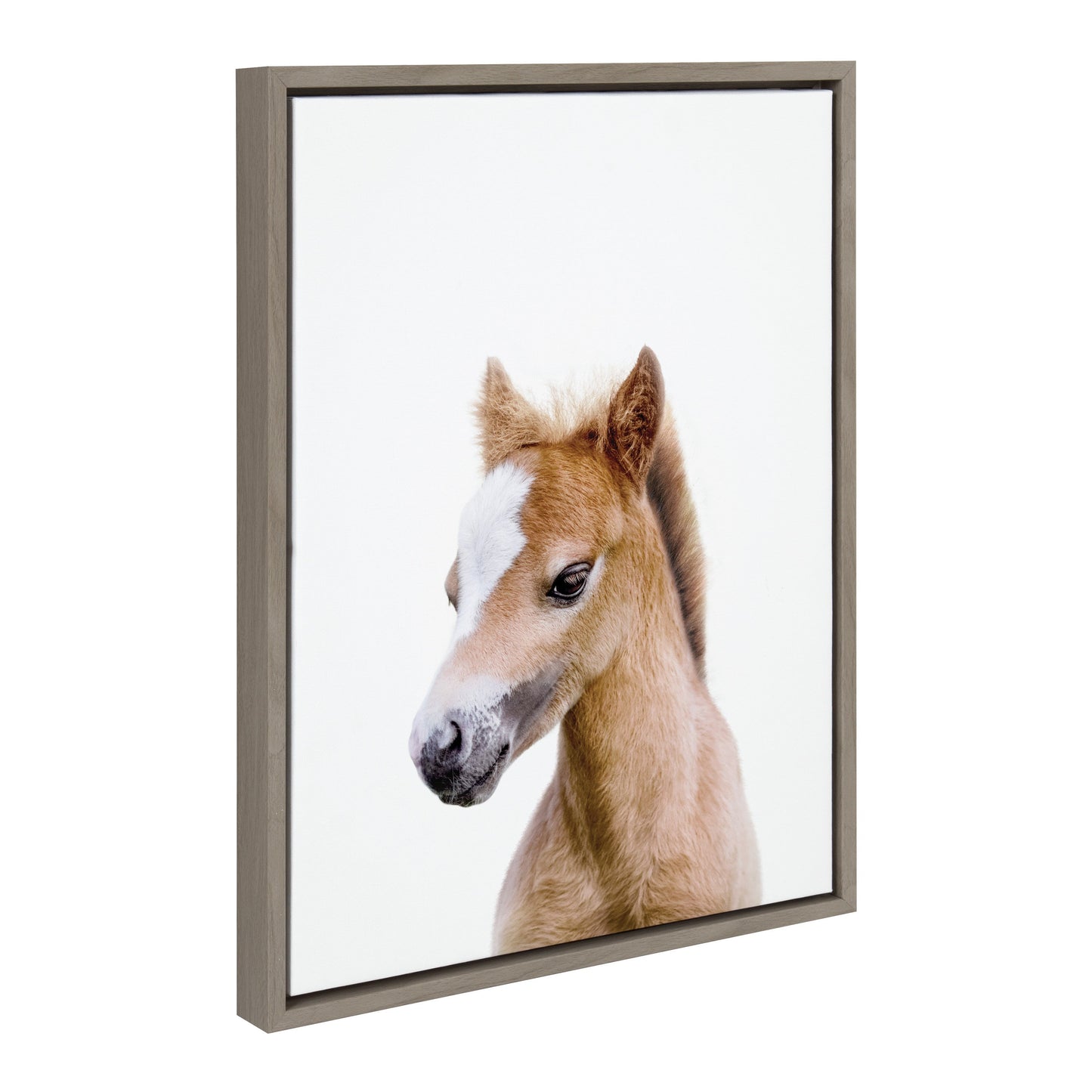 Framed canvas portrait of a baby horse foal for nursery and farmhouse wall decor