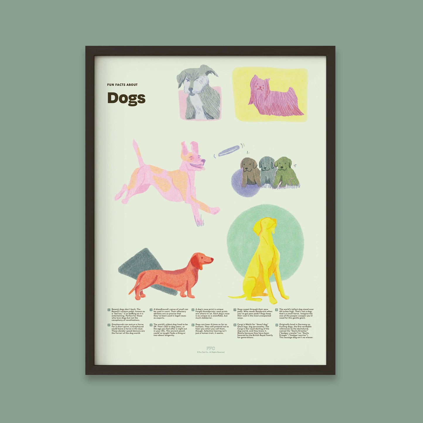 Dog Fun Facts Art Print