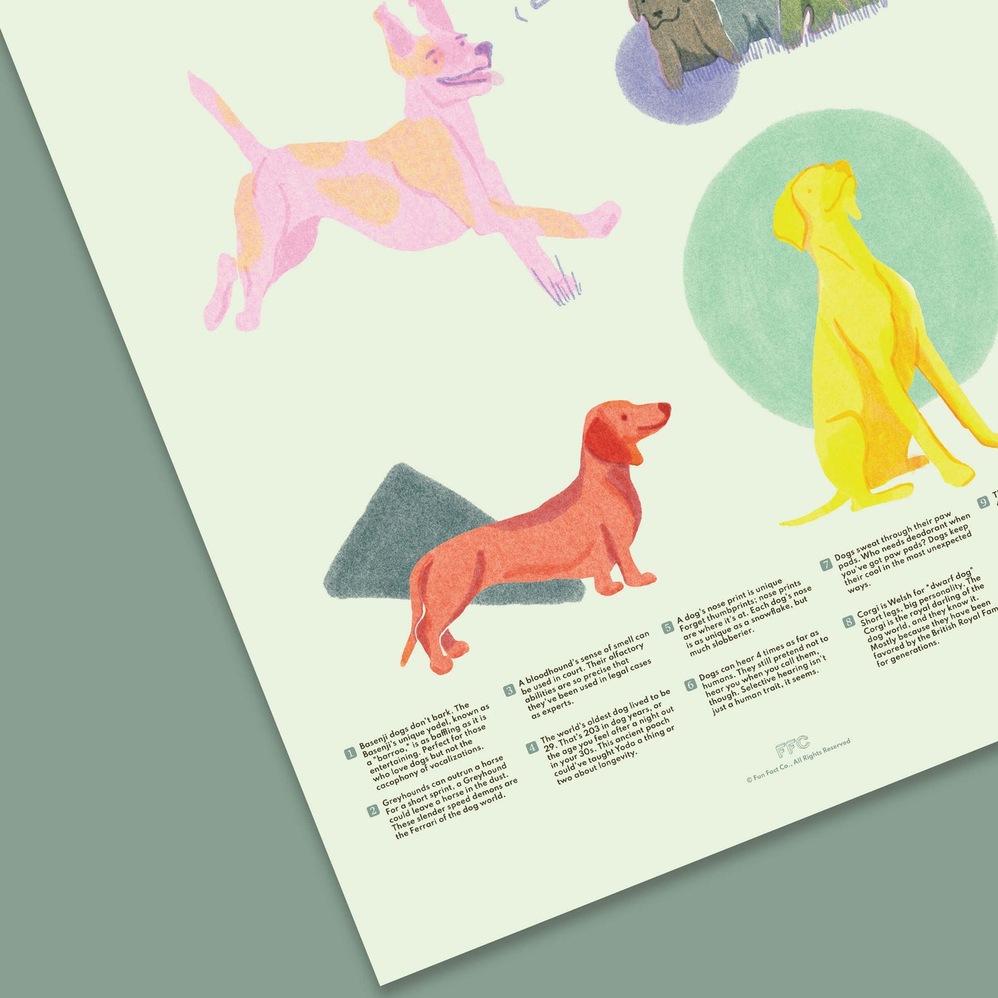 Dog Fun Facts Art Print