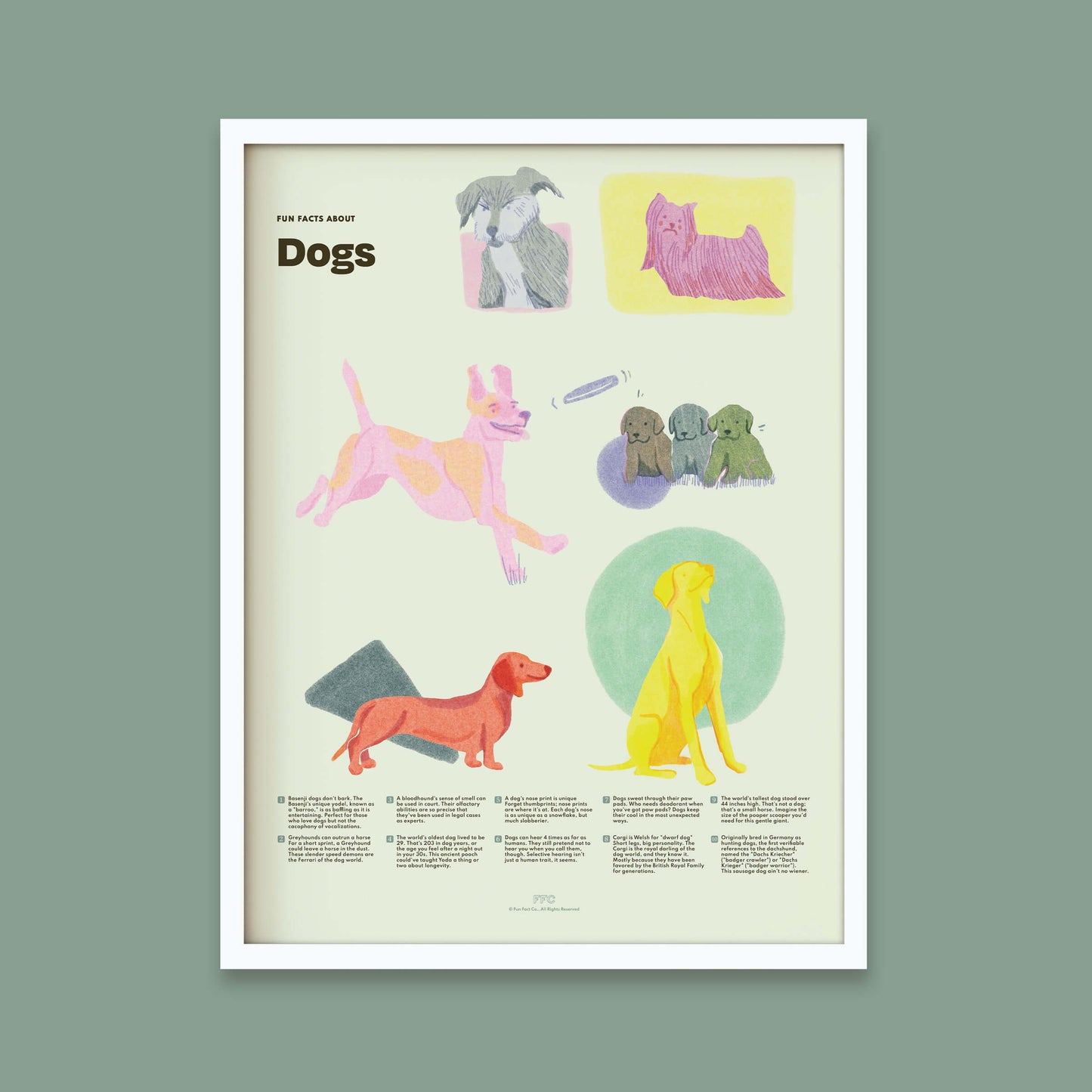 Dog Fun Facts Art Print