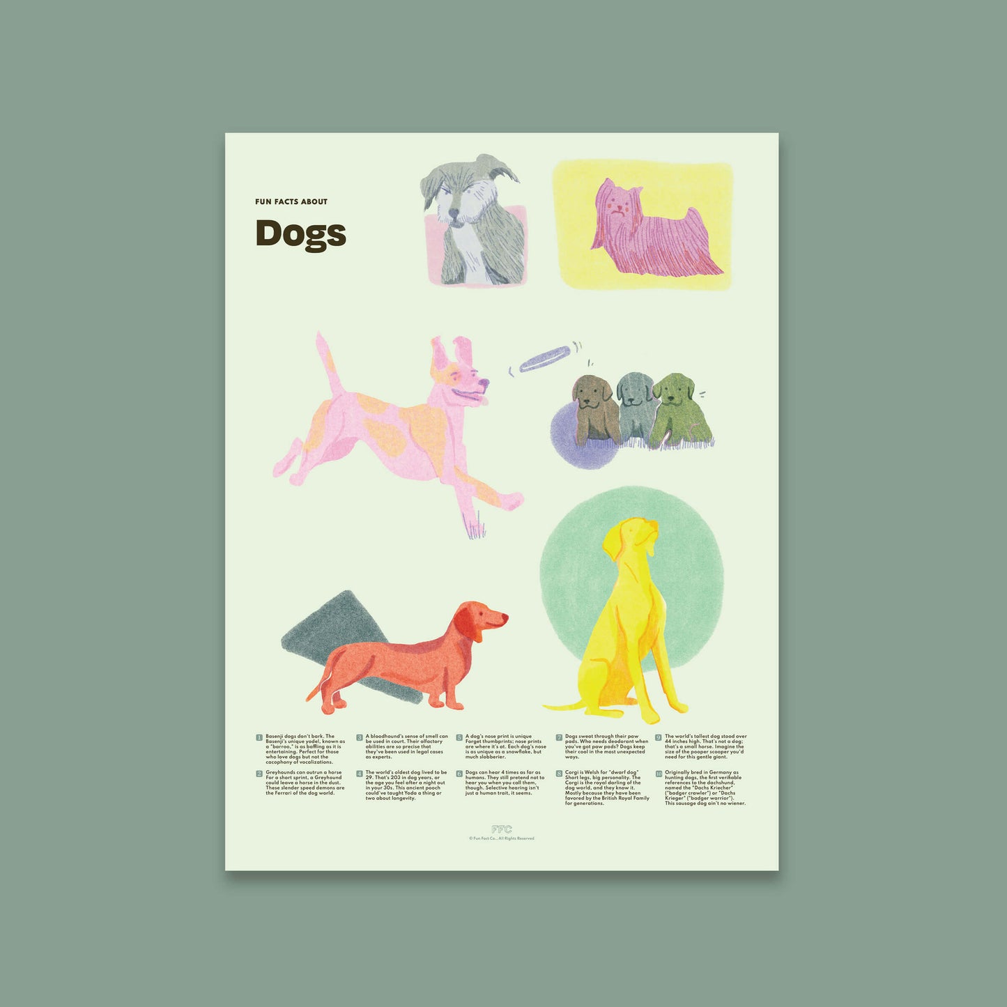 Dog fun facts illustrated art print with canine facts