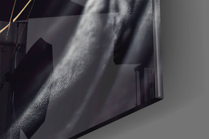 Peace Fighter Glass Wall Art