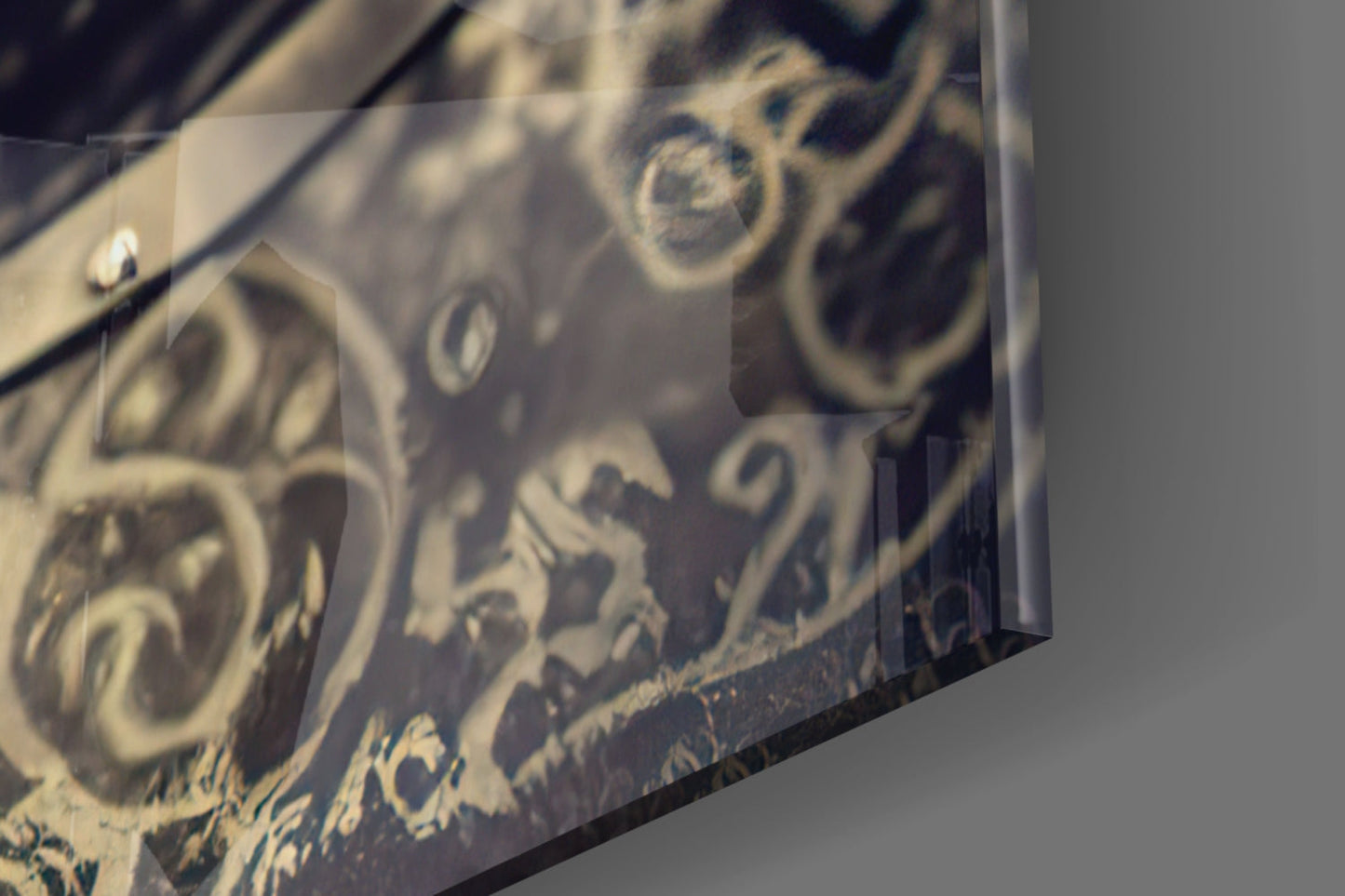 The Beak Glass Wall Art