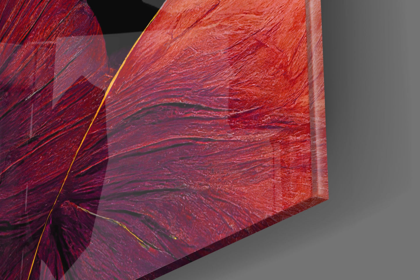 Curves Glass Wall Art