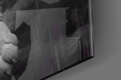 Tiger's Wrath Glass Wall Art