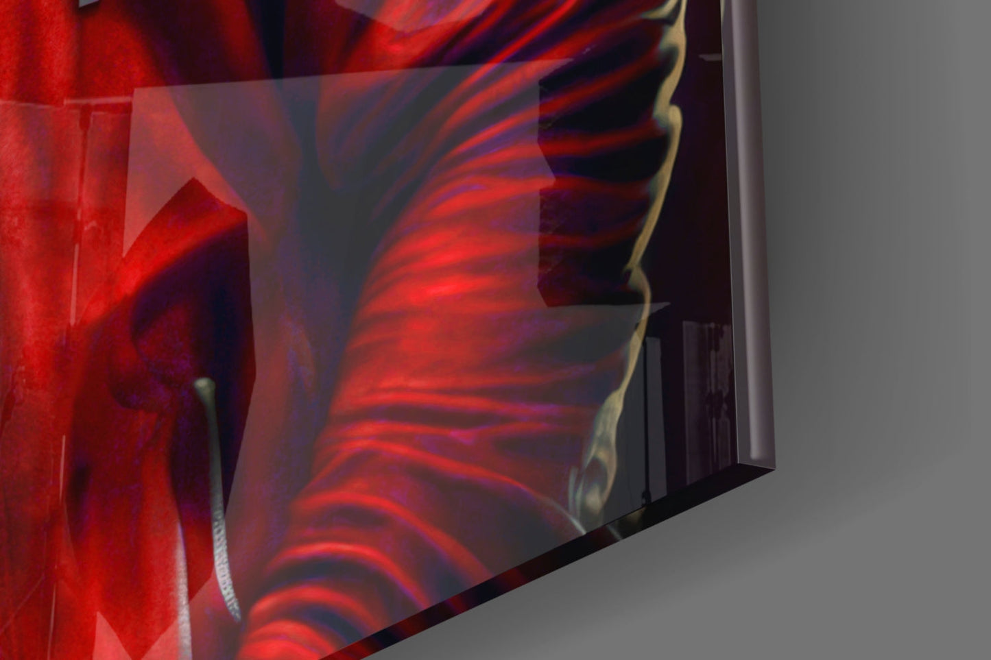 Animal Vogue Scarlet Hoodie Glass Wall Art