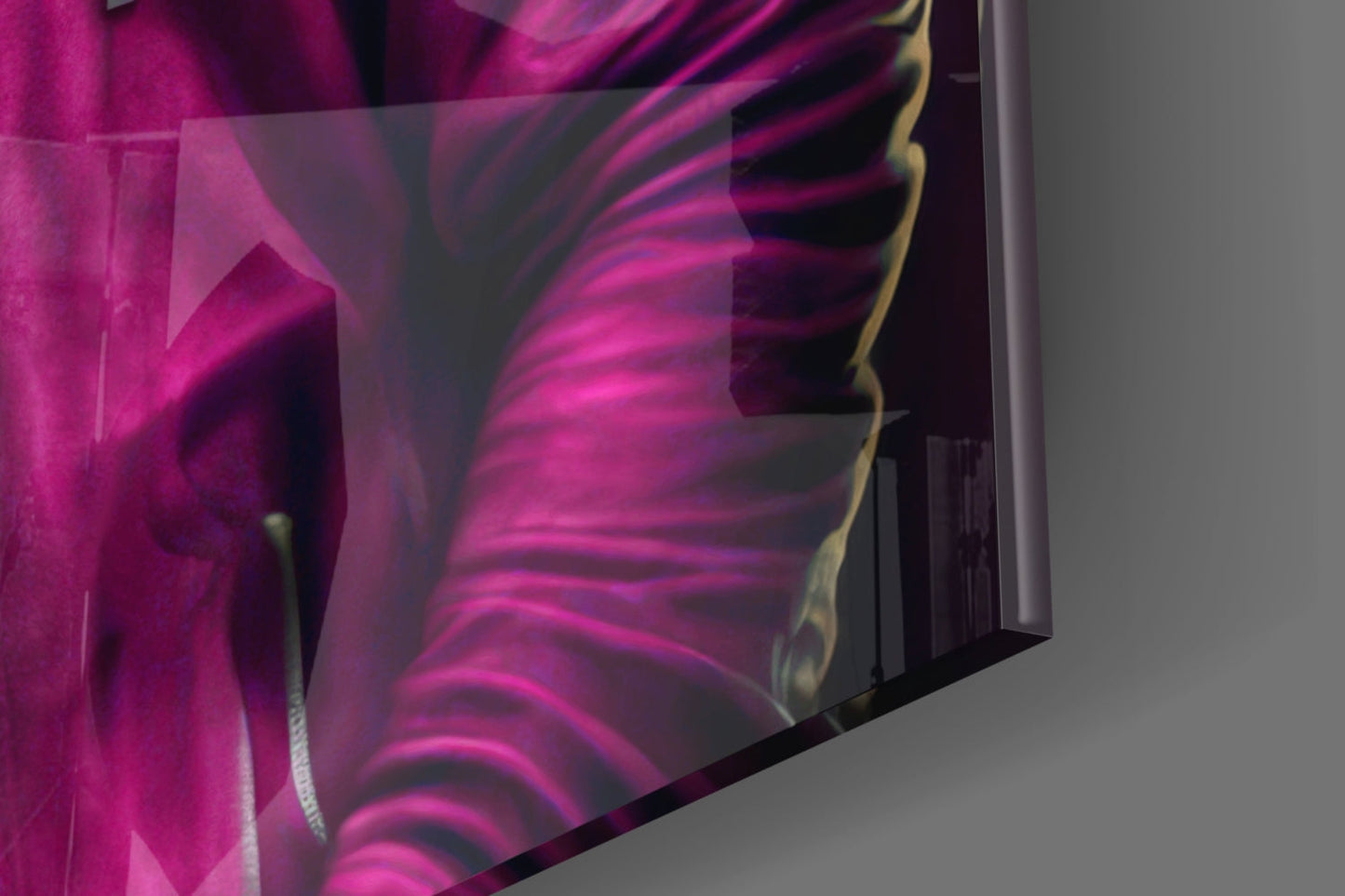 Animal Vogue Gorilla Glass Wall Art