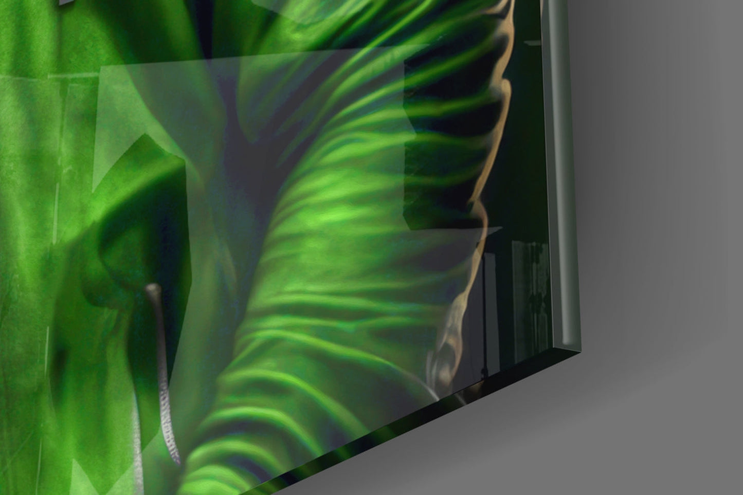 Animal Vogue Lime Hoodie Glass Wall Art
