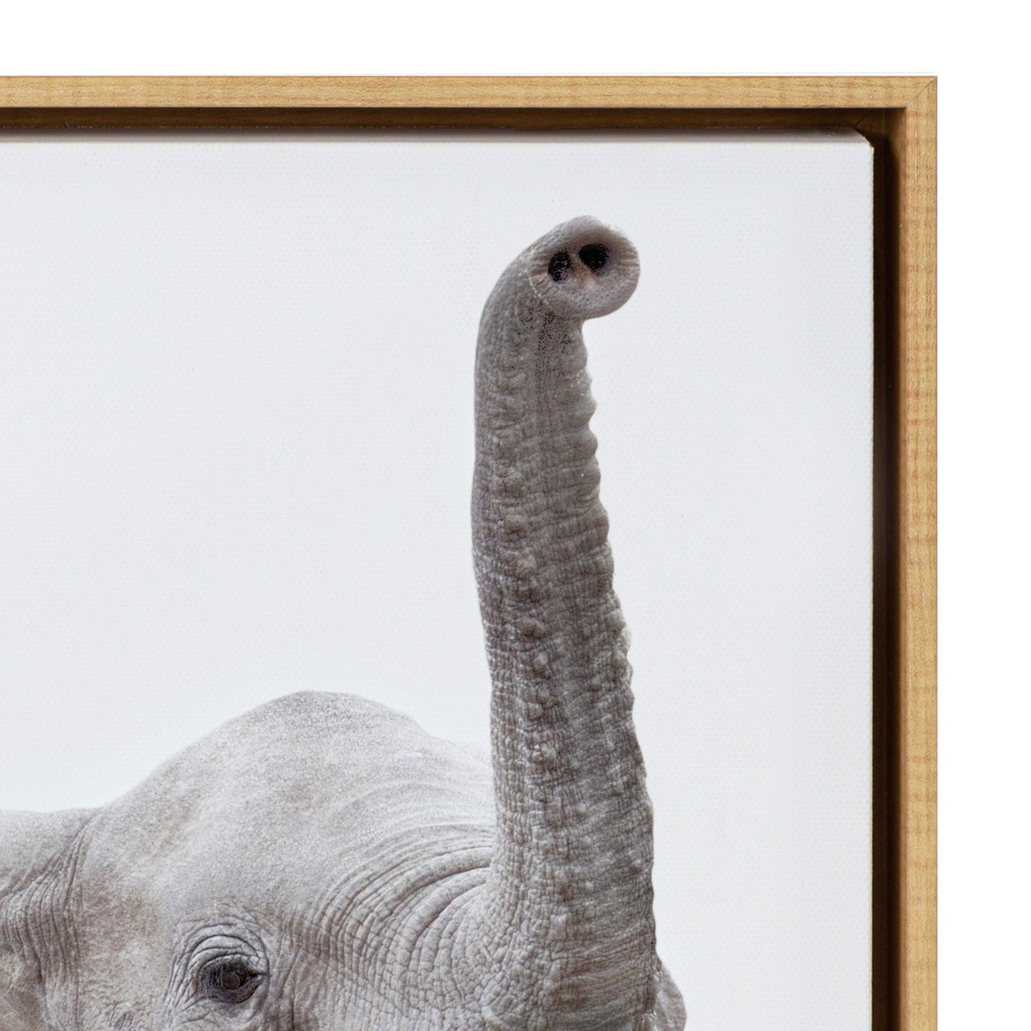 Safari Animals Framed Canvas Wall Art