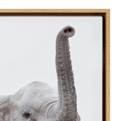 Sylvie Safari Animal Framed Canvas Art Set by Amy Peterson
