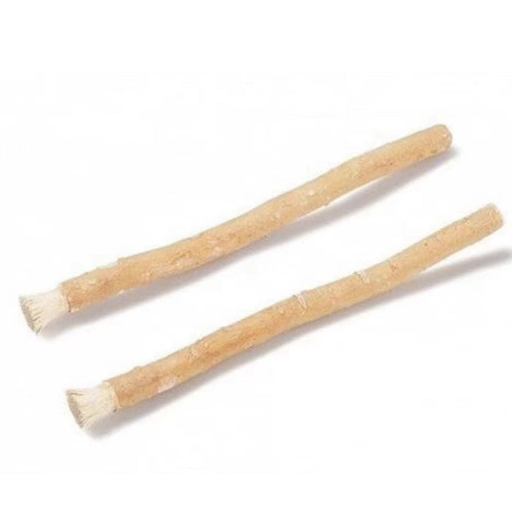 Miswak Natural Toothbrush – The Ancient Secret to a Bright, Healthy Smile