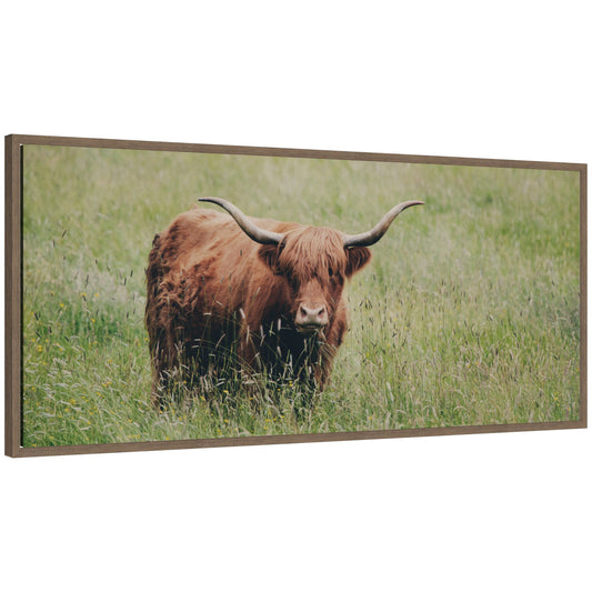 Highland cow in a green field framed canvas wall art, walnut float frame