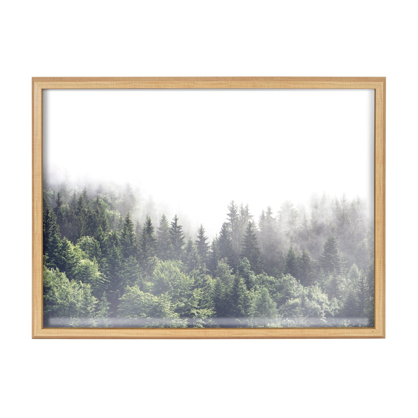 Lush Green Forest Foggy Day Framed Glass Wall Art