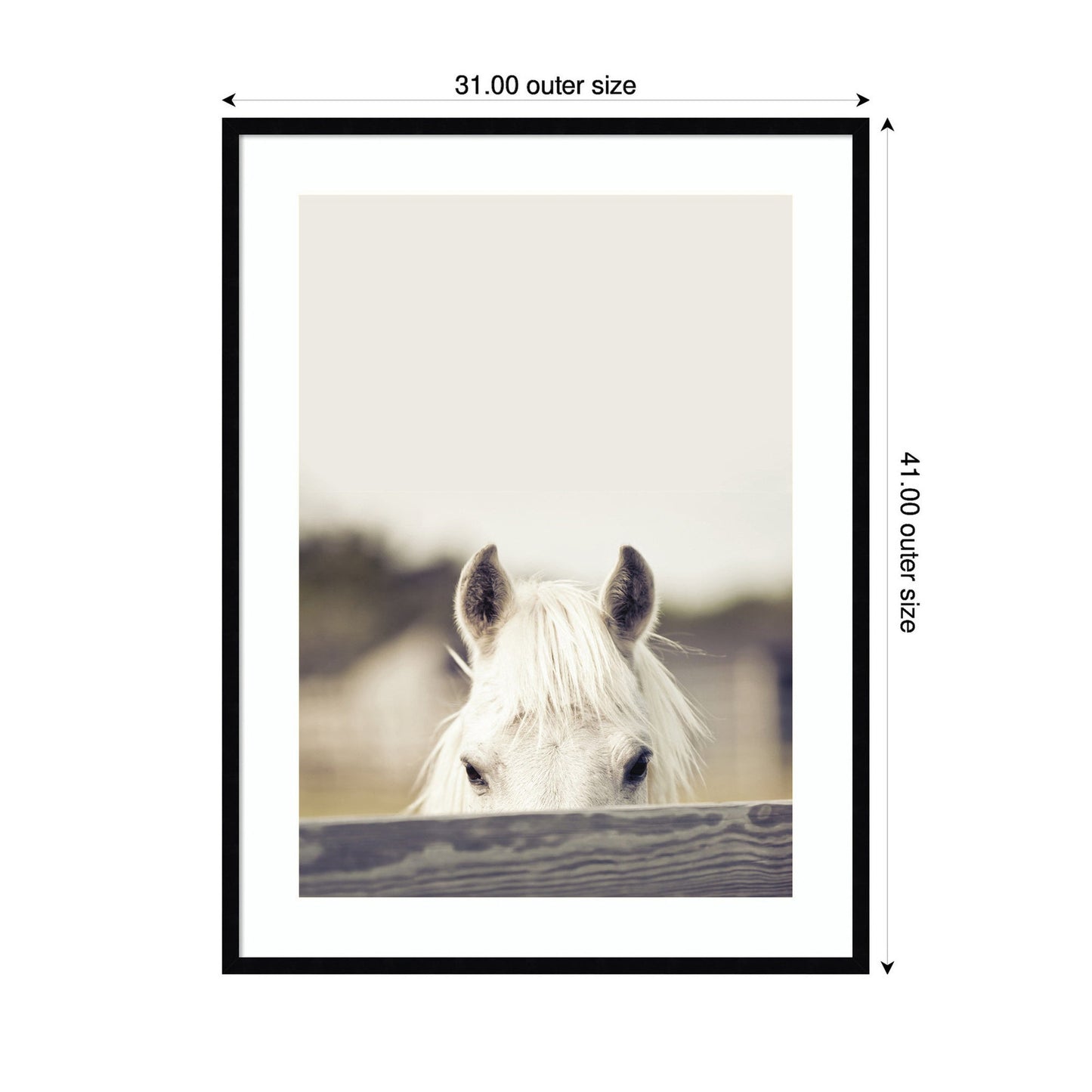 Horse Framed Wall Art Print