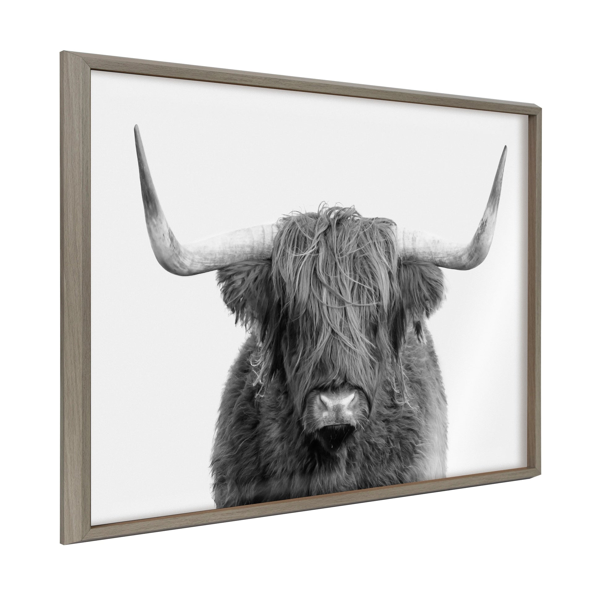 Highland cow portrait framed wall art print in a modern frame