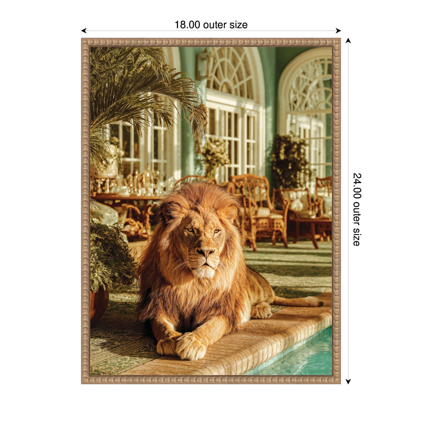Majestic Lion by the Pool Framed Canvas Wall Art
