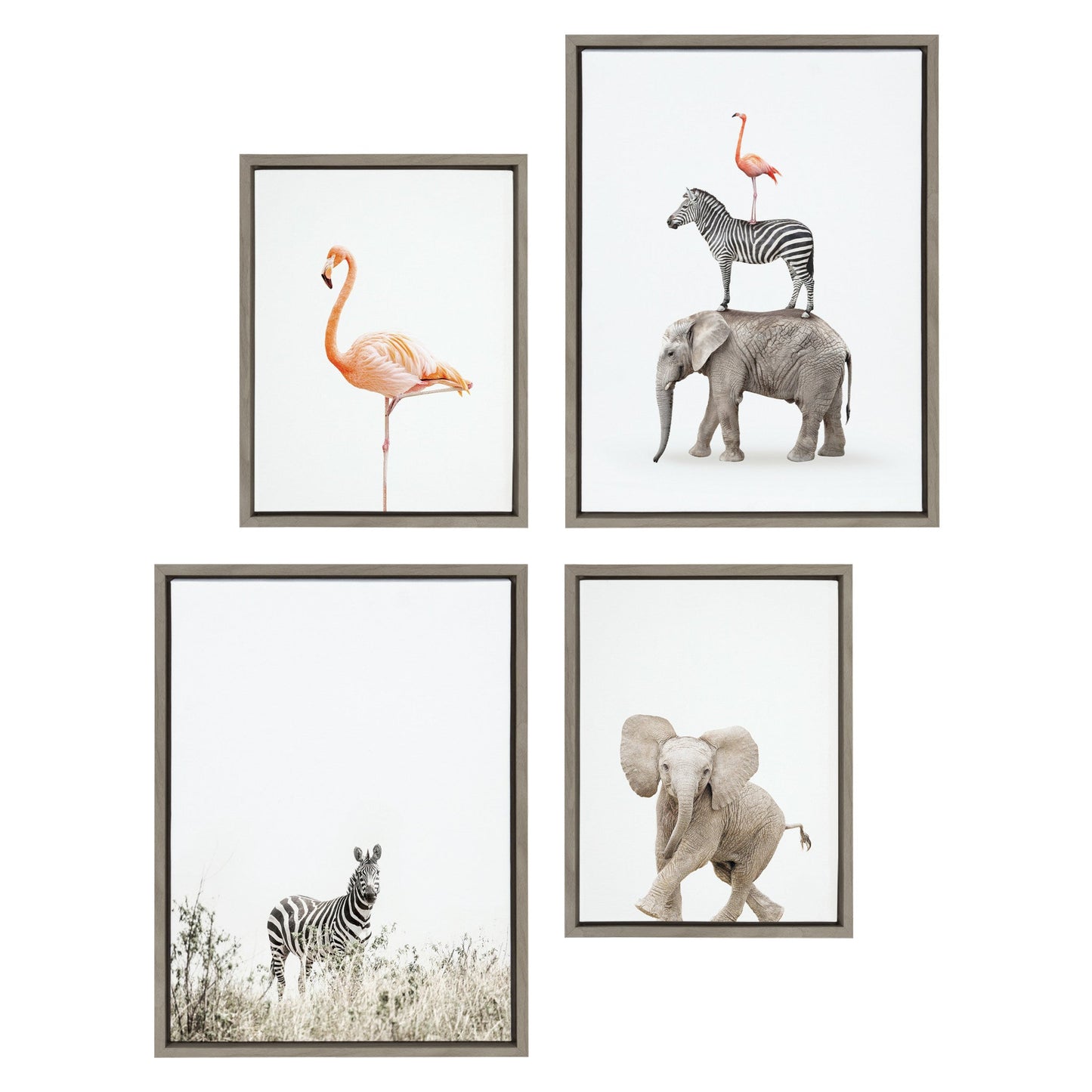 Zebra flamingo baby elephant and safari animals framed canvas set of four