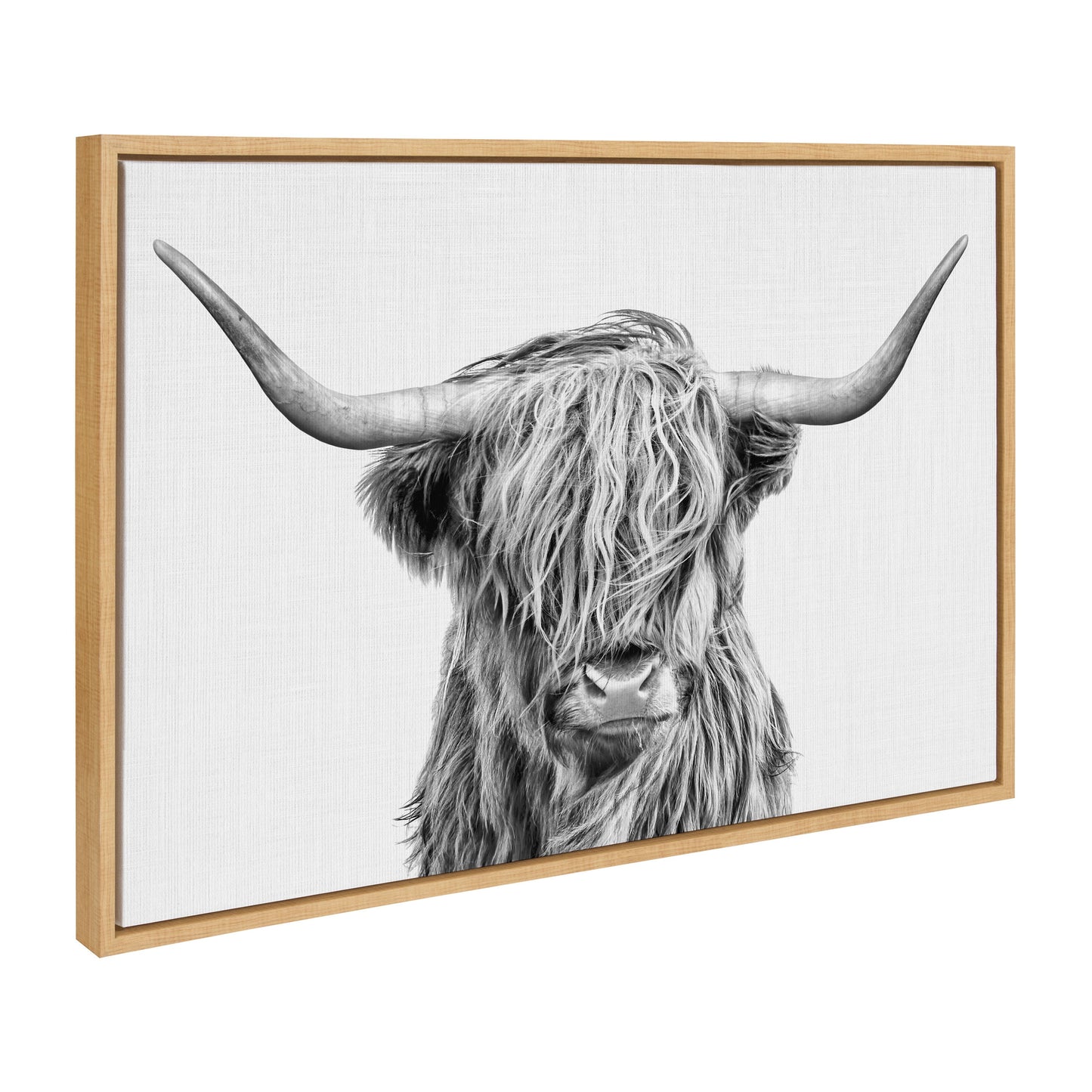Highland cow framed canvas wall art in a modern frame