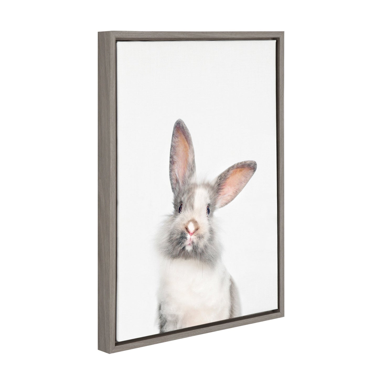 Rabbit Portrait Framed Canvas Wall Art, Nursery Decor