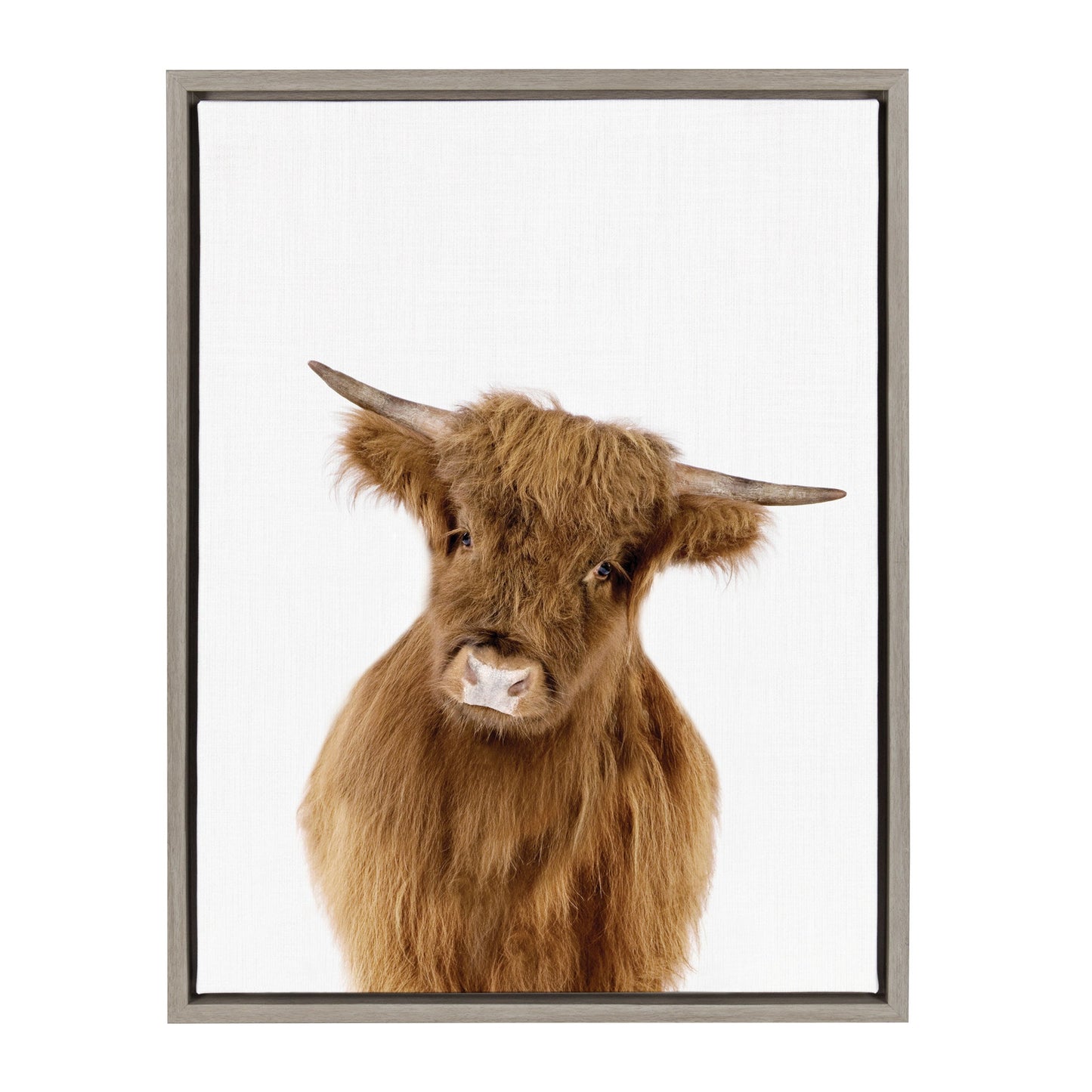 Framed canvas portrait of a shaggy Highland cow for farmhouse and rustic wall decor