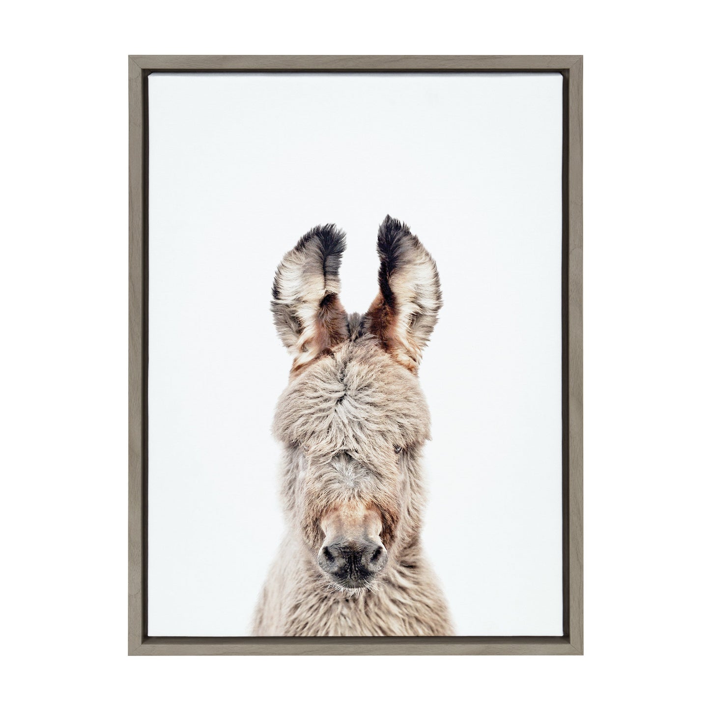 Donkey Portrait Framed Canvas Wall Art, Farmhouse Decor