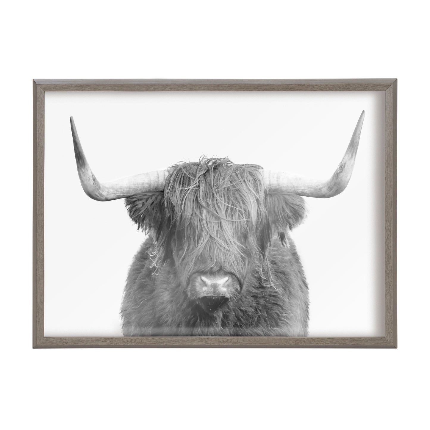 Highland Cow Portrait Framed Wall Art Print