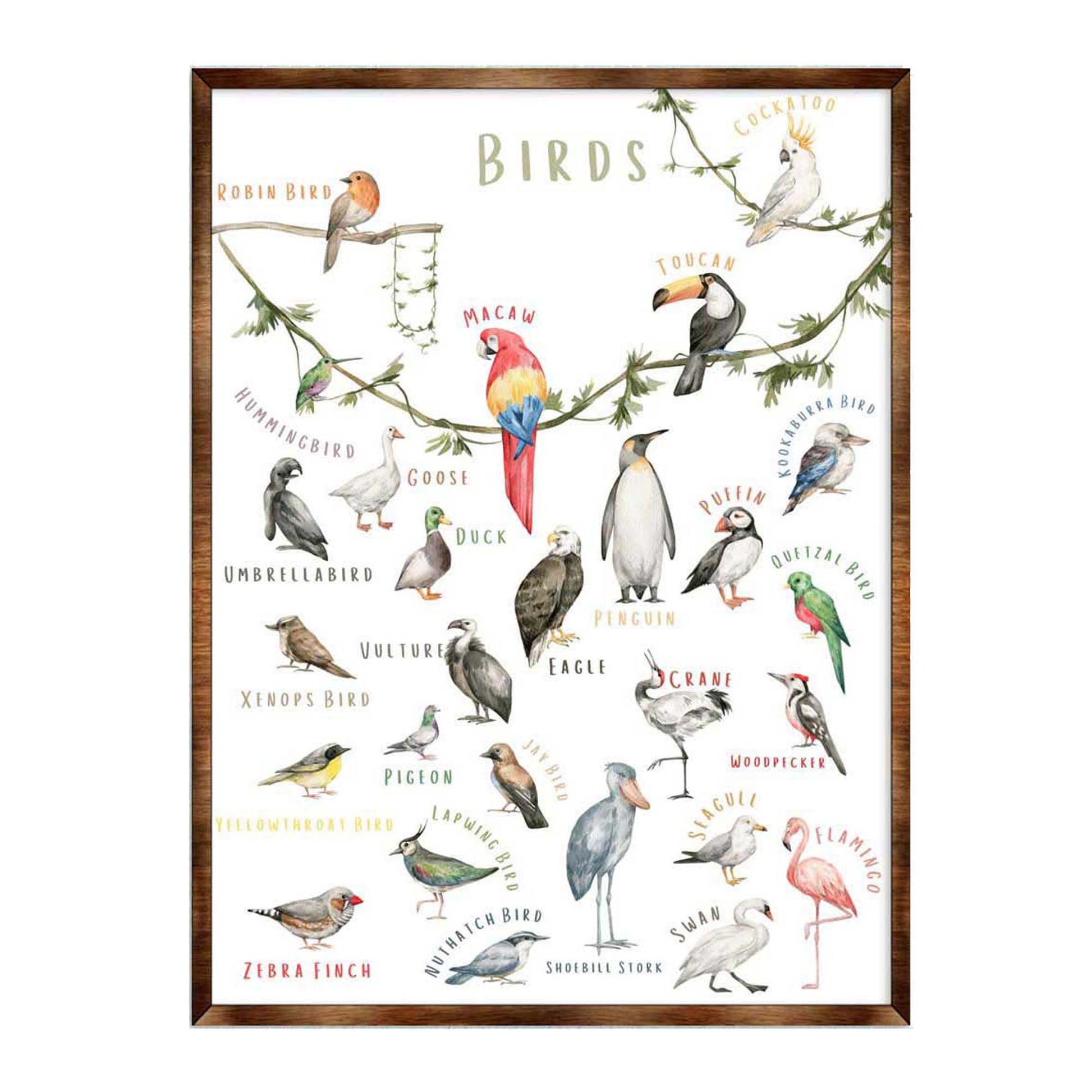 Handcrafted wood birds alphabet educational kids wall art