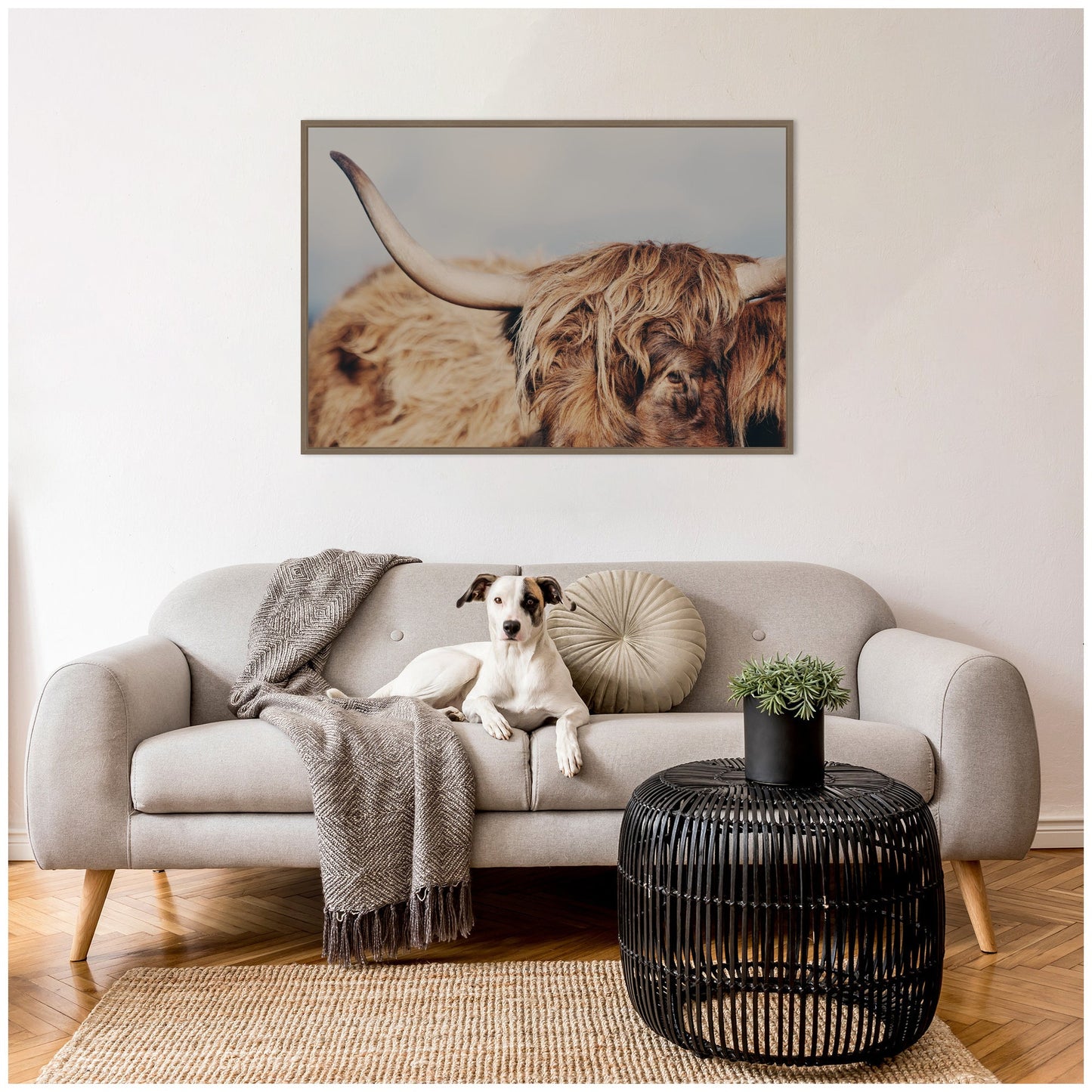 Highland Cow Close-Up Framed Canvas Wall Art