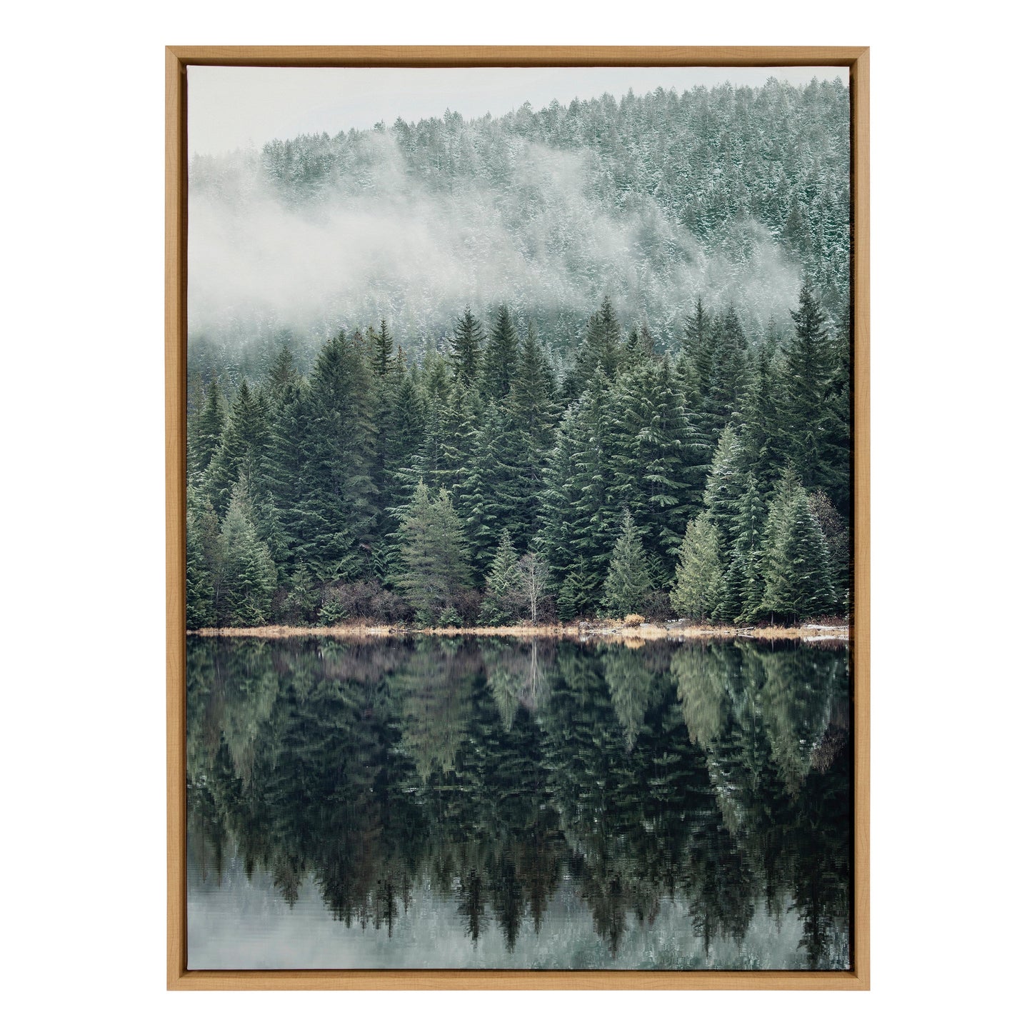 Misty Forest Framed Canvas Wall Art