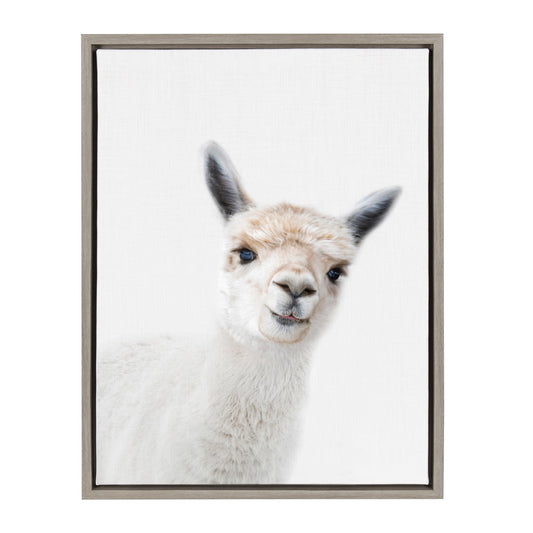 Framed canvas portrait of a fluffy alpaca for nursery and farmhouse wall decor