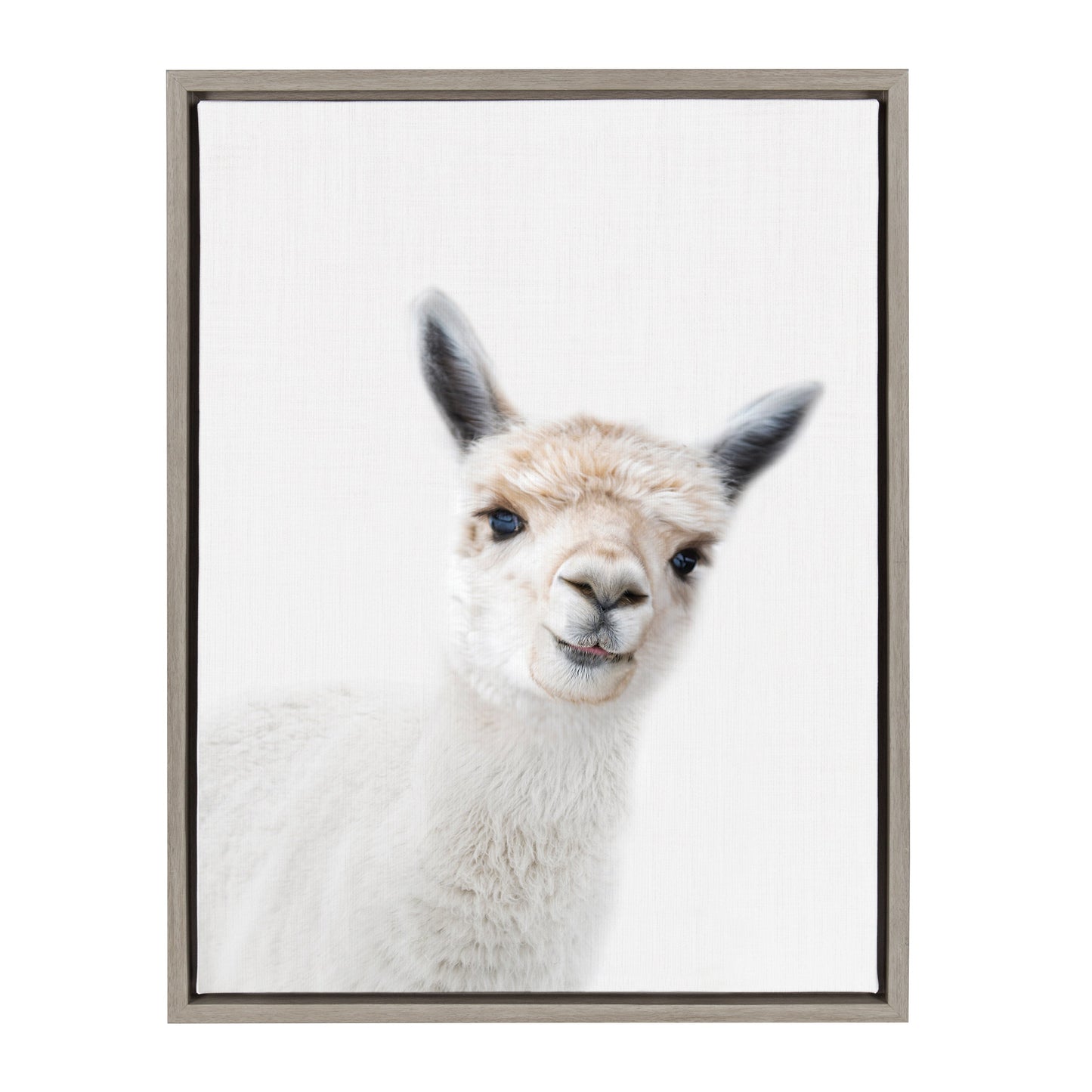 Alpaca Portrait Framed Canvas Wall Art, Nursery Decor