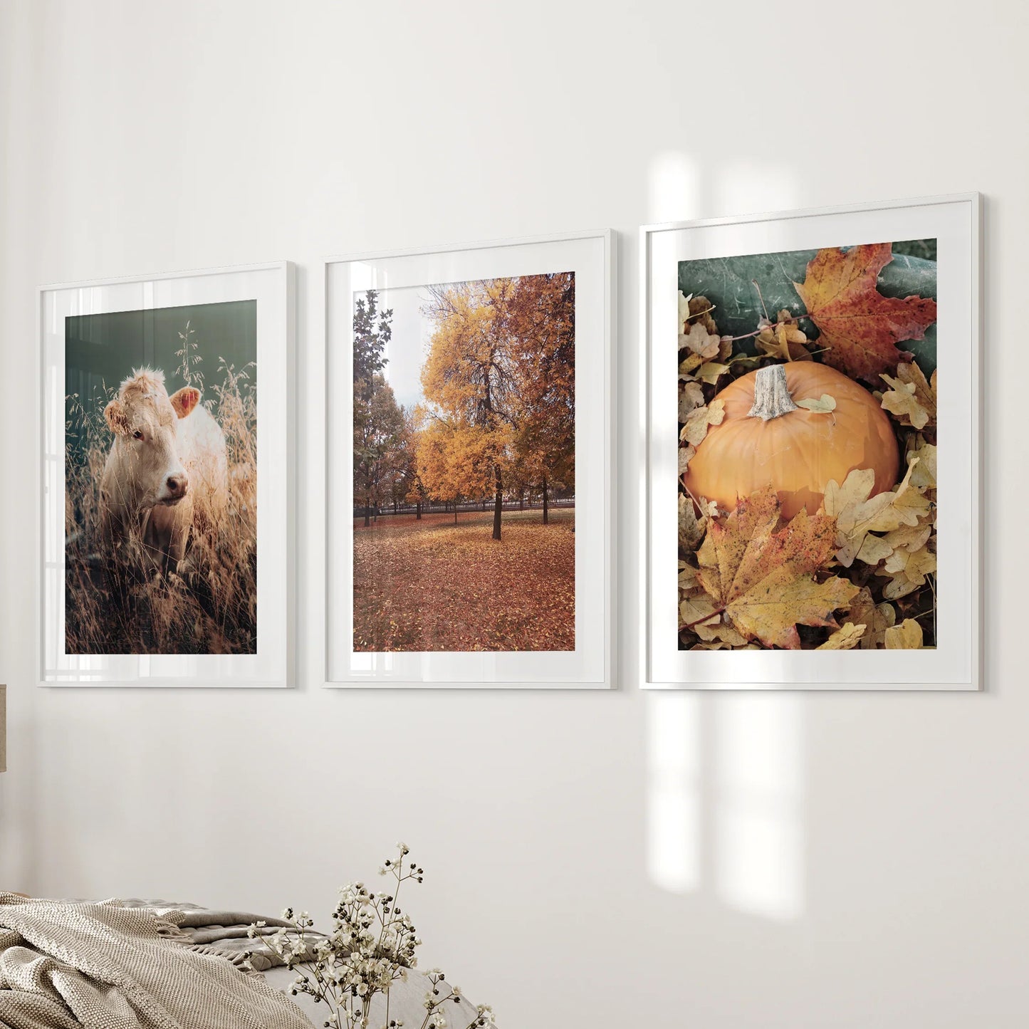 Autumn Farmhouse Wall Art Set of 3 Cow and Fall Prints