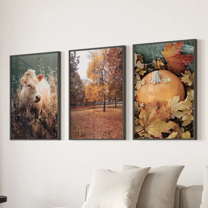 Autumn Farmhouse Wall Art Set of 3 Cow and Fall Prints