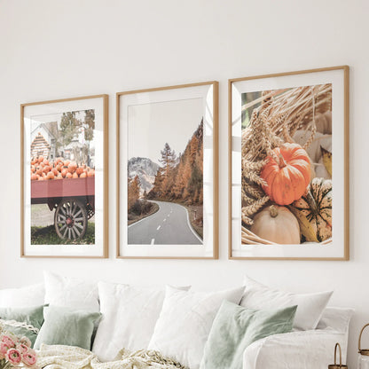 Autumn Pumpkin Wall Art Set of 3 Rustic Fall Prints