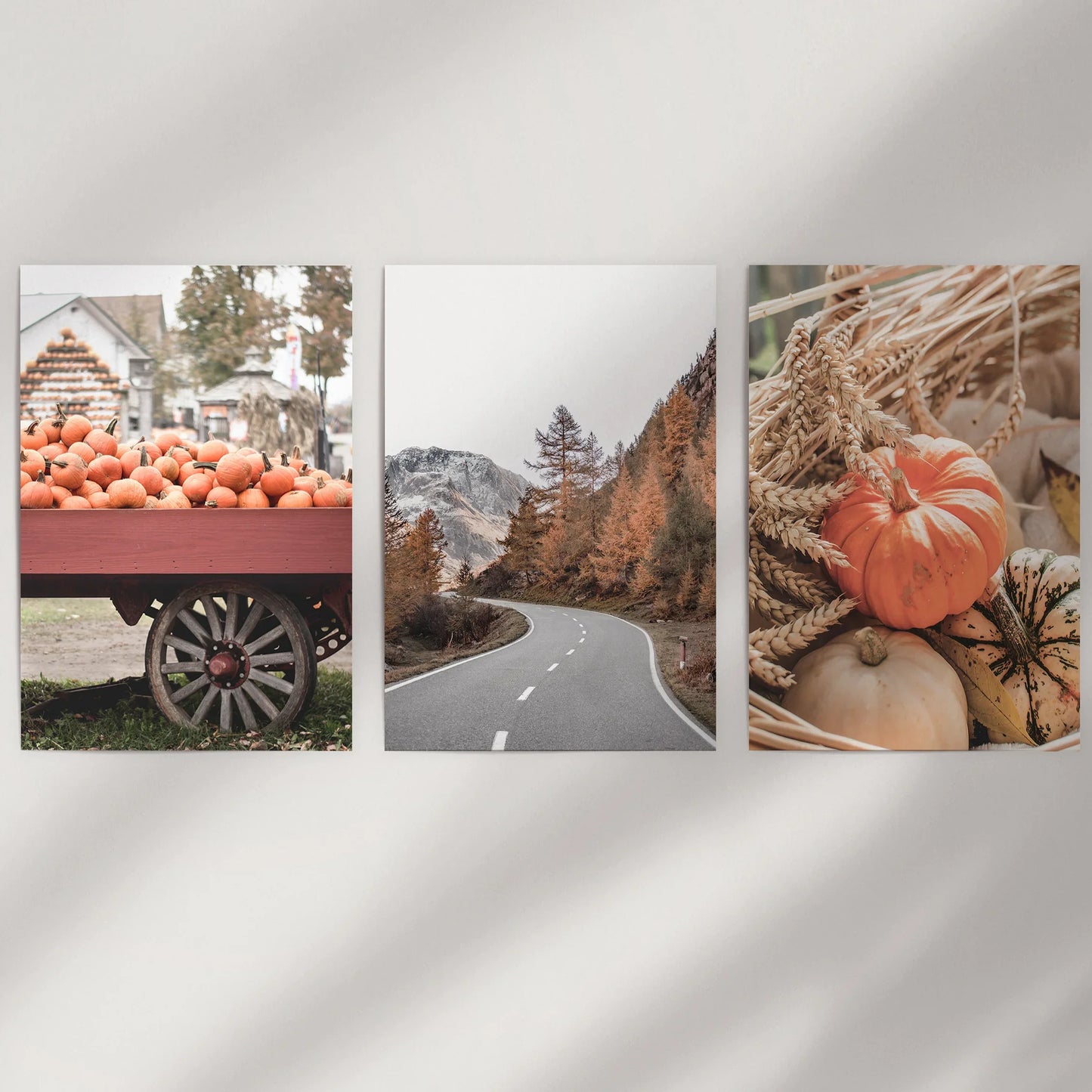 Autumn Pumpkin Wall Art Set of 3 Rustic Fall Prints