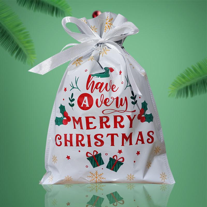 Christmas-themed gift bag with 'Have a Very Merry Christmas' text on a green background