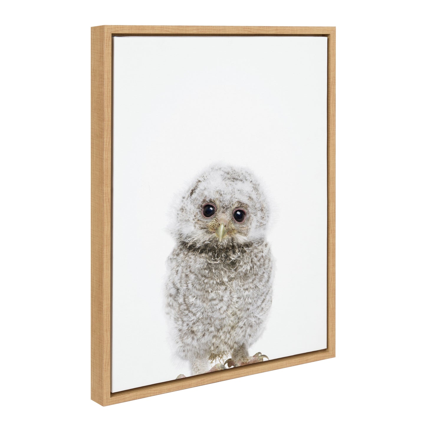 Owl Portrait Framed Canvas Wall Art, Woodland Nursery Decor
