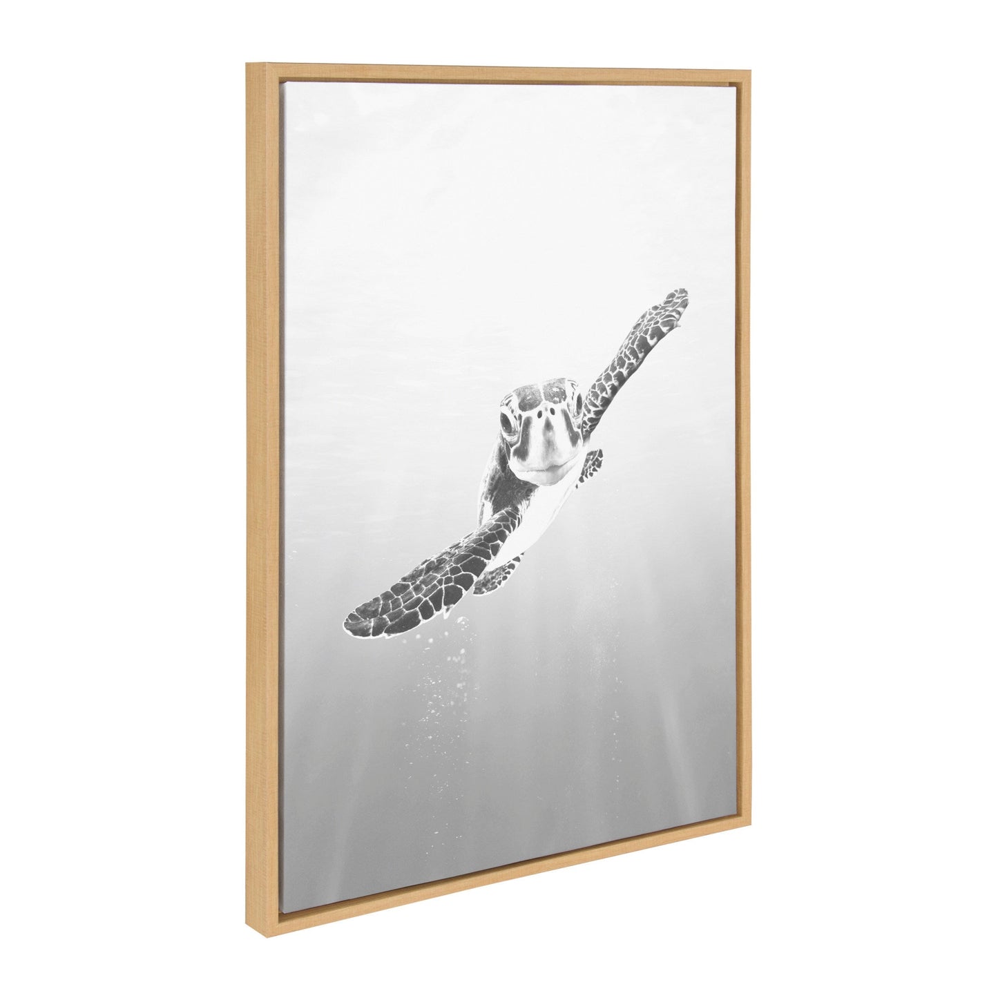 Sea Turtle Family Framed Canvas Art Set