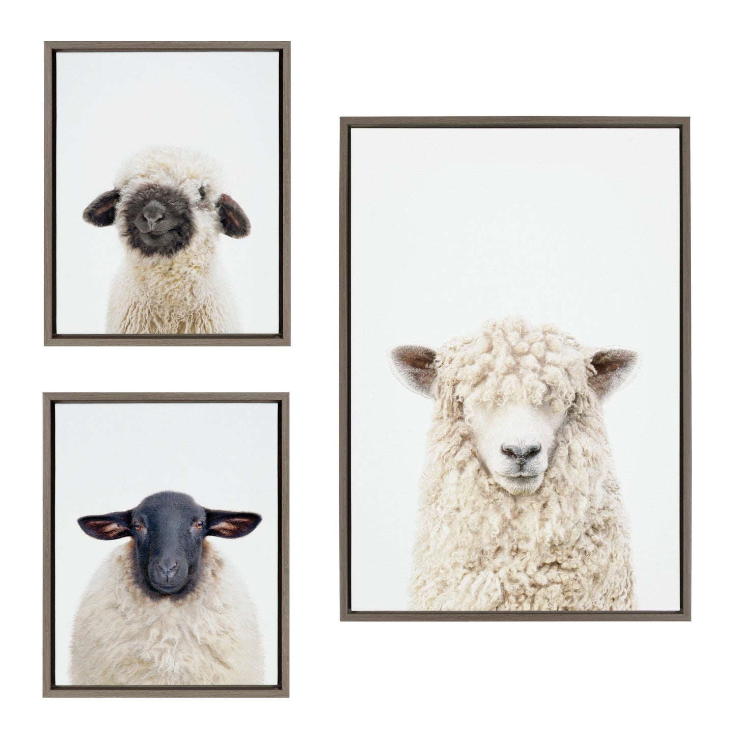 Two-piece framed canvas set of black-nosed and dorper sheep portraits for farmhouse wall decor