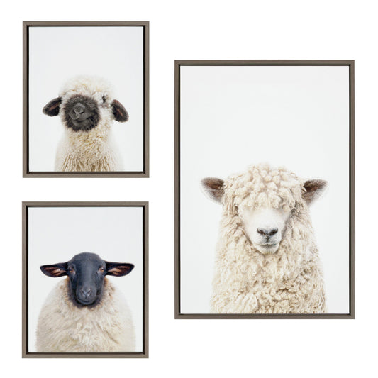 Two-piece framed canvas set of black-nosed and dorper sheep portraits for farmhouse wall decor