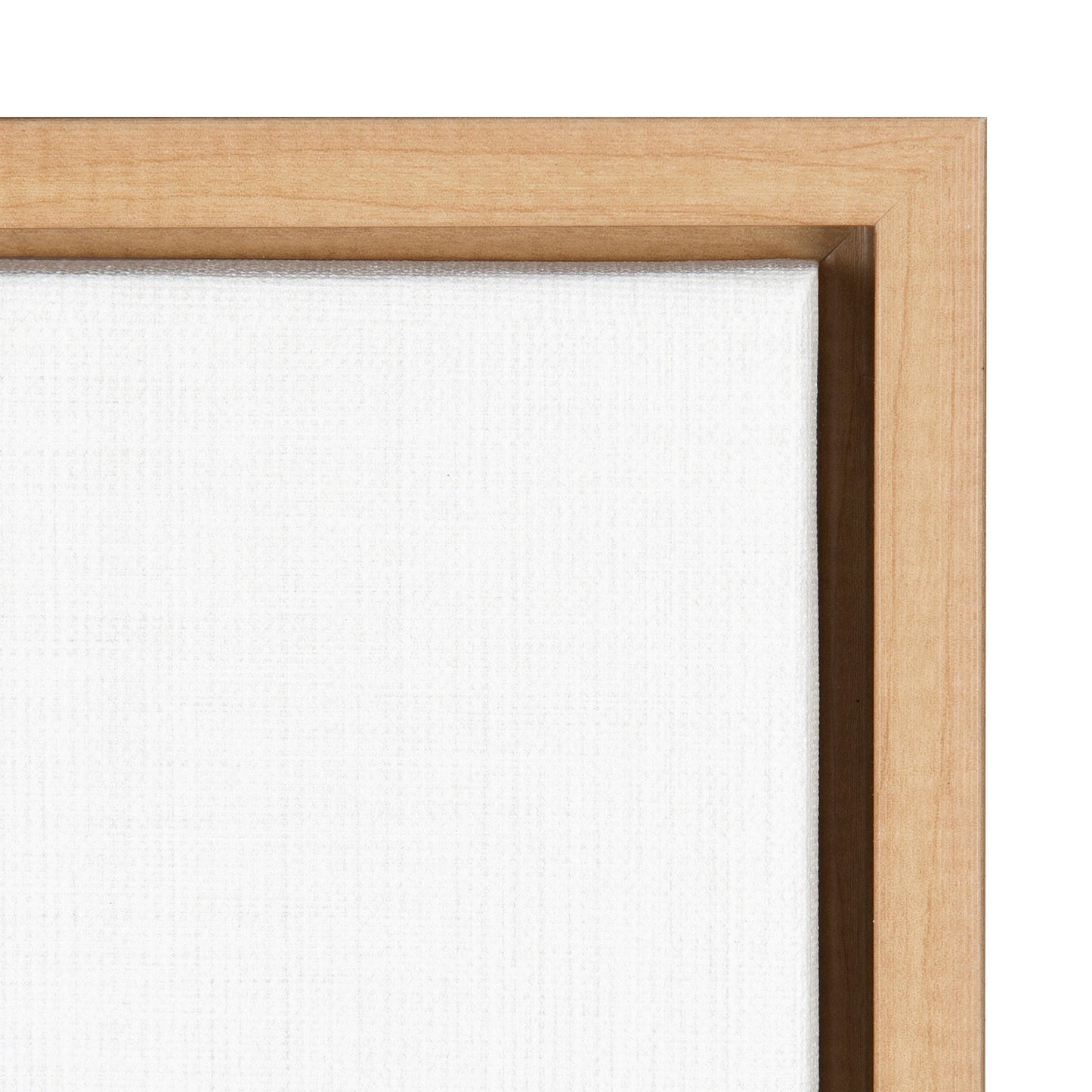 Bicycle Framed Canvas Wall Art
