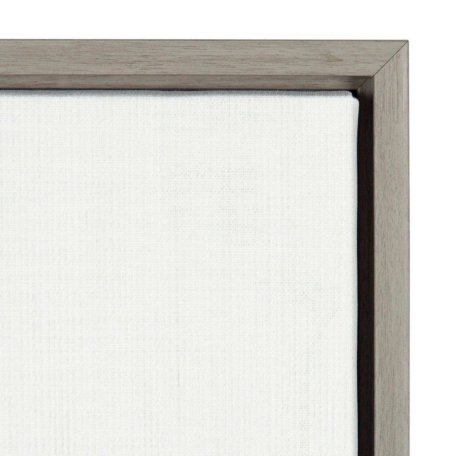 Bird Portrait Framed Canvas Wall Art